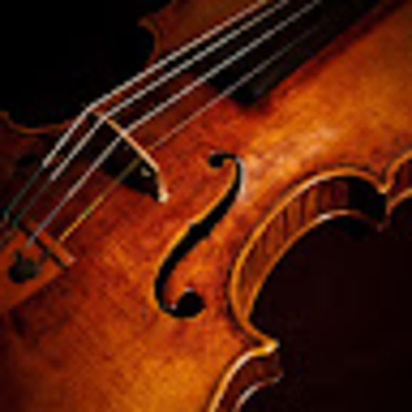 violin4life01